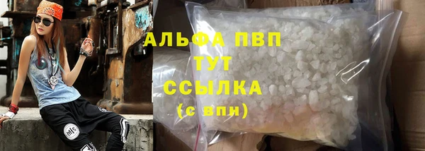 гашик Дмитровск